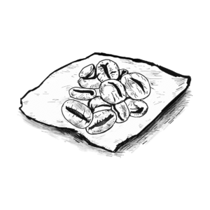 Coffee-Bean-300x300