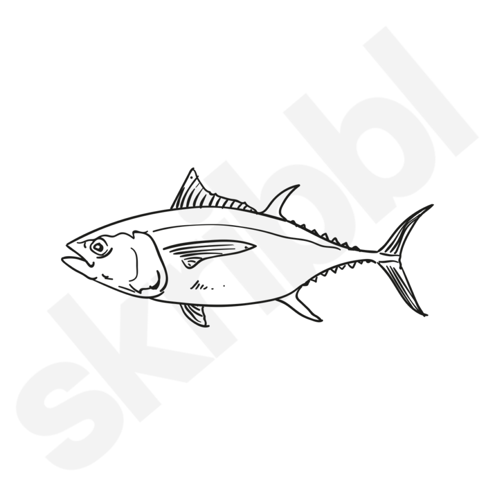 'Mackerel Tuna Fish' Illustration Simple Fish